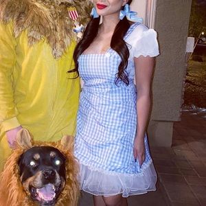 Dorothy Costume